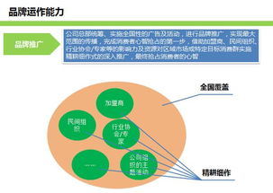 品牌运作与连锁运营系统构建 从战略到执行的全链路管理